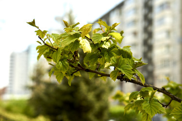 Similar image 21508814