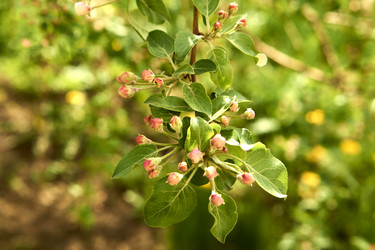 Similar image 21508815