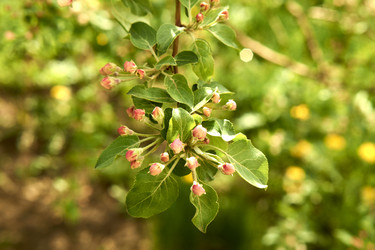 Similar image 21508816