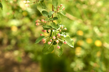 Similar image 21508817