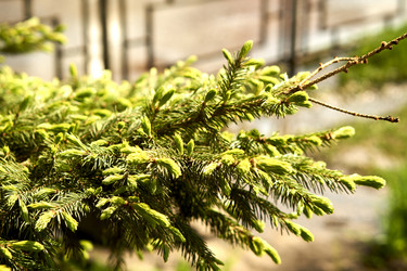 Similar image 21508818