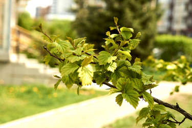 Similar image 21508819