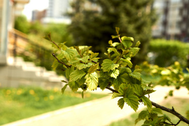 Similar image 21508820