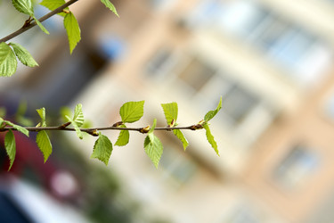 Similar image 21508822