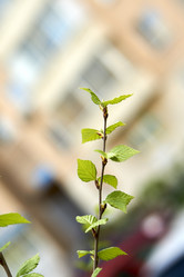 Similar image 21508823