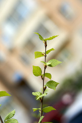 Similar image 21508824