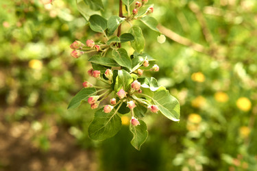 Similar image 21508825