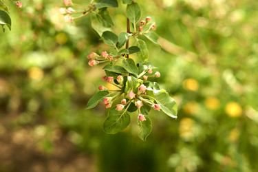 Similar image 21508826