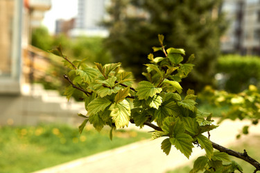 Similar image 21508827