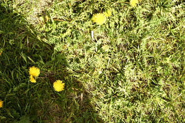 Similar image 21508828