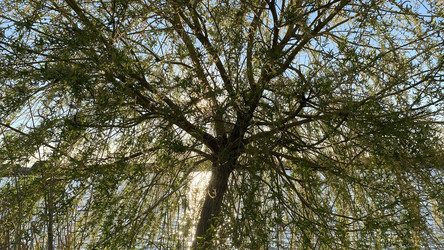 Similar image 21506249