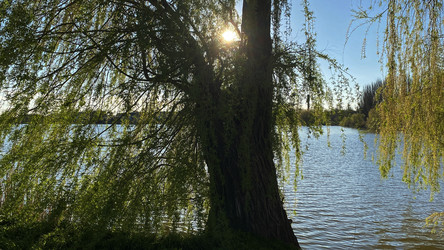 Similar image 21504334