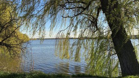 Similar image 21504335