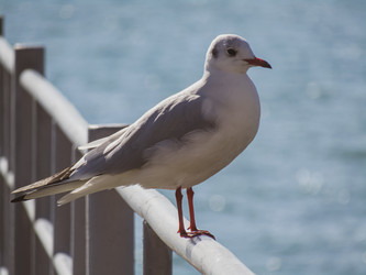 Similar image 21515210