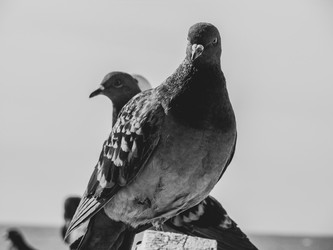 Similar image 21515211