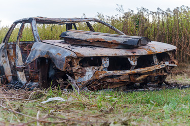 Similar image 21508668