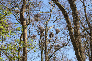 Similar image 21508669