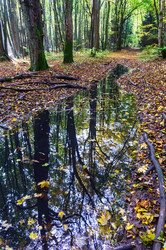 Similar image 21508670