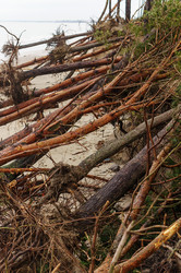 Similar image 21508673