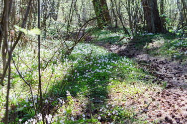 Similar image 21508674