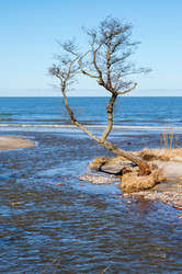 Similar image 21508675