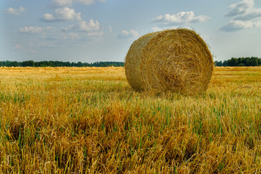 Similar image 21511616