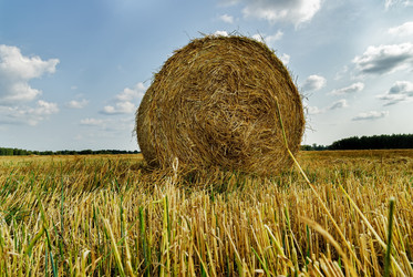 Similar image 21511617