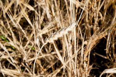 Similar image 21511630