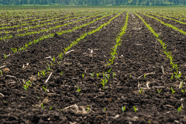 Similar image 21511631