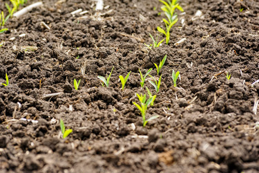 Similar image 21511632