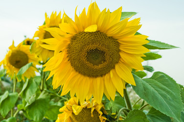 Similar image 21511634