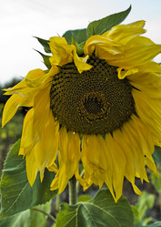 Similar image 21511636