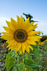 Similar image 21511637