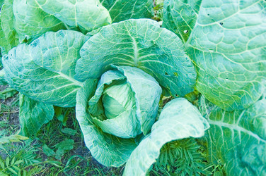 Similar image 21511638