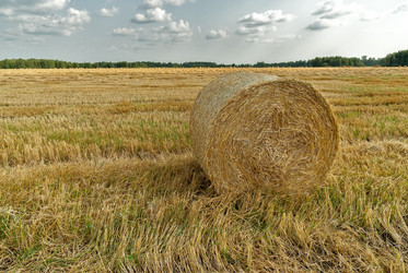 Similar image 21511639