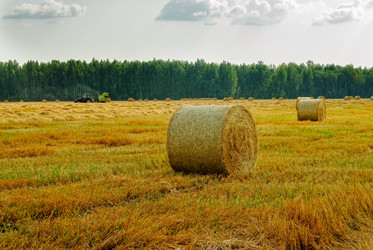 Similar image 21511640