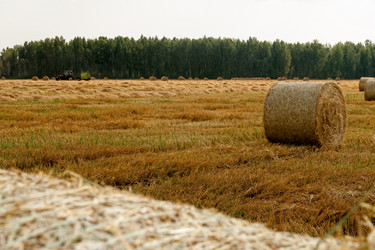 Similar image 21511641