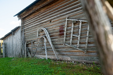 Similar image 21511687