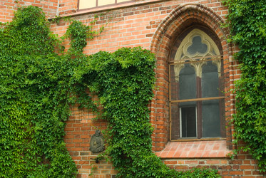 Similar image 21511754