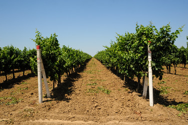 Similar image 21509729