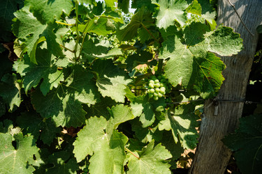 Similar image 21509732