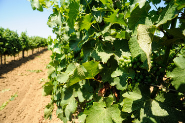 Similar image 21509733