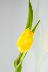 Similar image 21505114