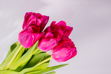 Similar image 21505116