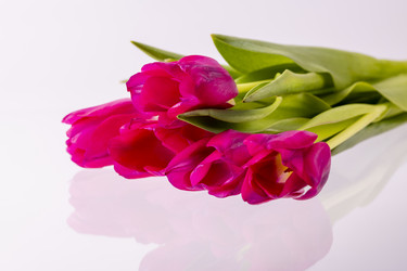 Similar image 21505117