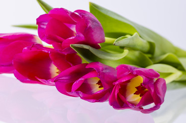 Similar image 21505119