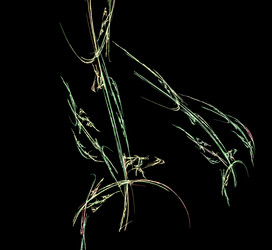 Similar image 21505235