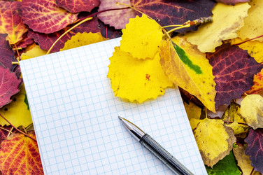 Similar image 21508683