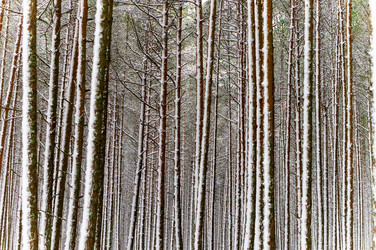 Similar image 21508684