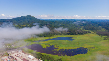 Similar image 21513432